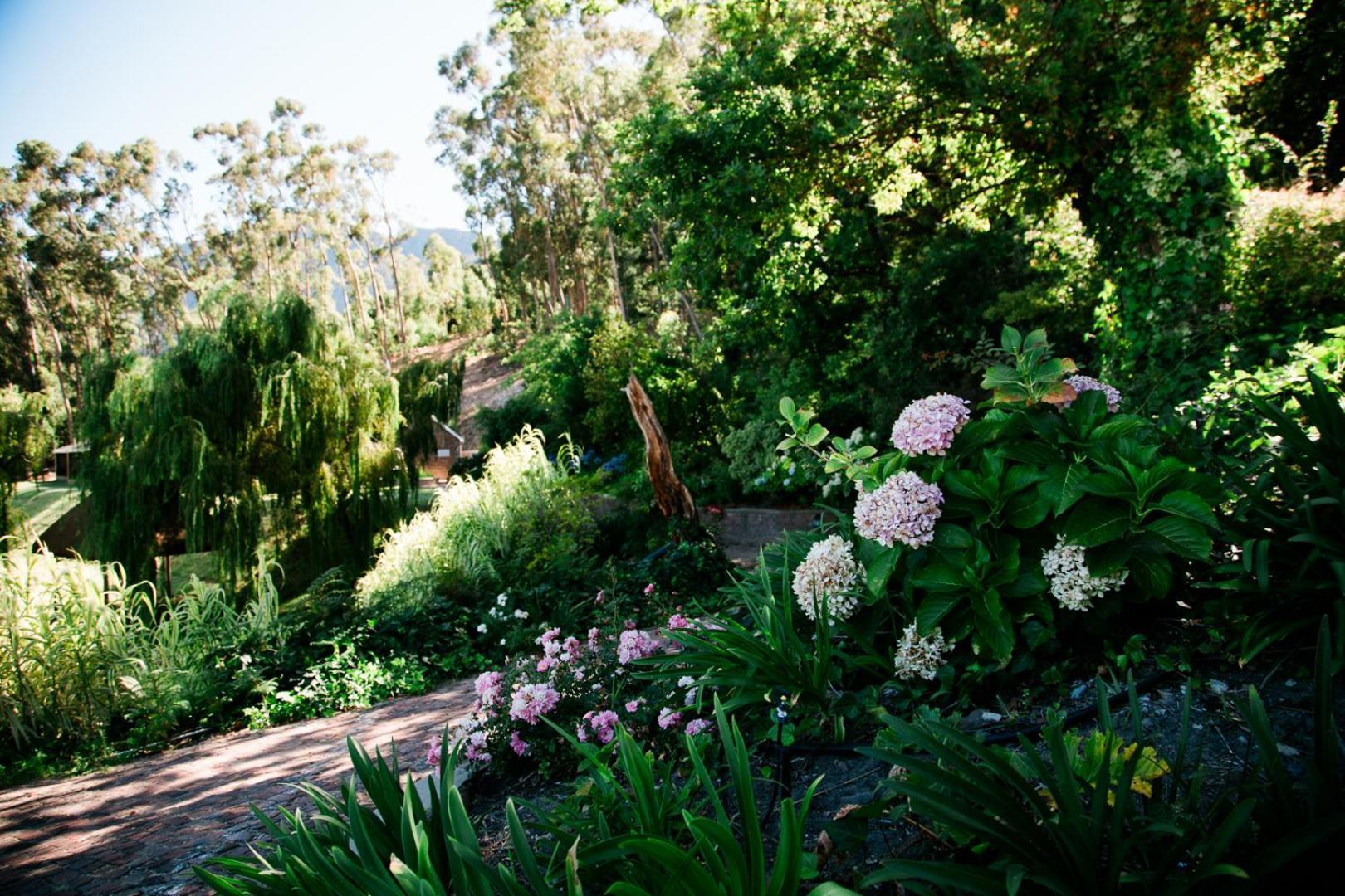 Montmartre Chalets & Venue Franschhoek Luaran gambar